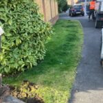 Resin Side Path Before